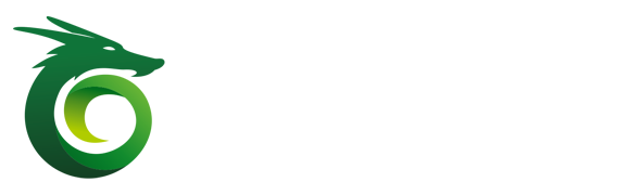 瓦飞龙网